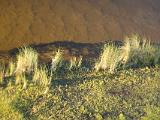 Africa 019 : Aerial View, Africa, Botswana, Delta, Landscape, Mombo, Okavango, Travel